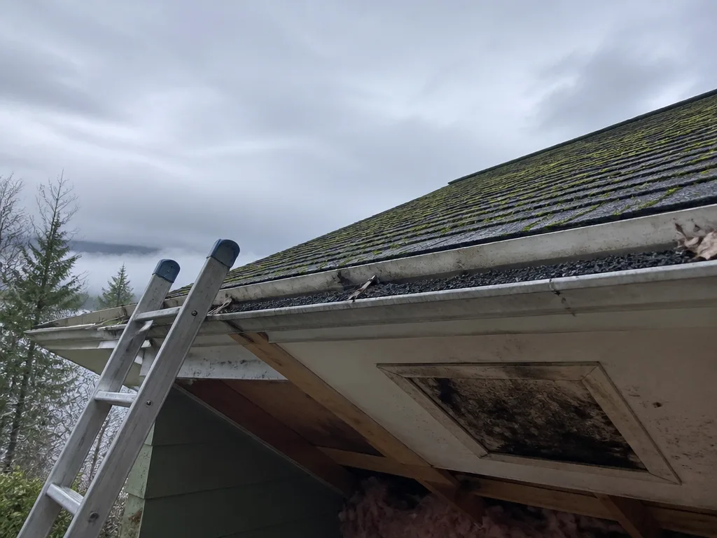 Common warning signs of roof problems to spot